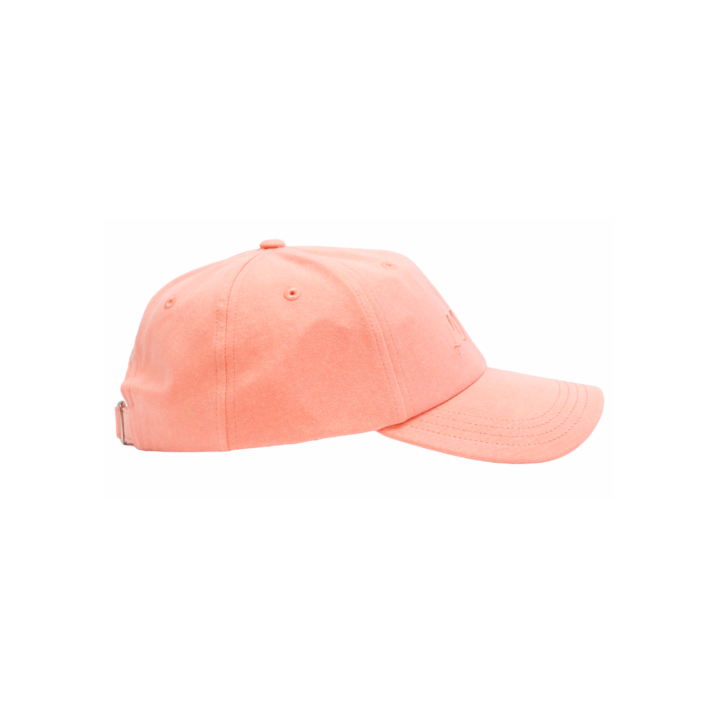 Luí na gréine - Fresh Salmon Cap